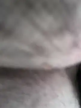 Snapshot of jusichka chatting on October 23, 5:24 am jusichka online show from October 23, 5:24 am