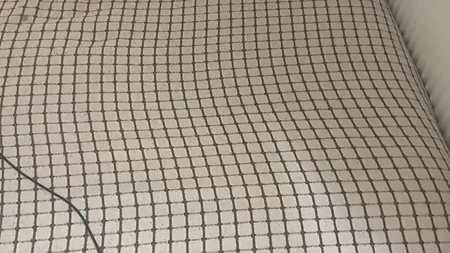 Snapshot of Ceyceys chatting on October 8, 9:46 am Ceyceys online show from October 8, 9:46 am