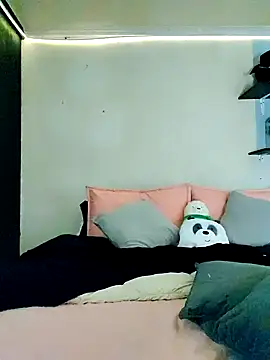 Paudelatorre online show from February 24, 1:16 am