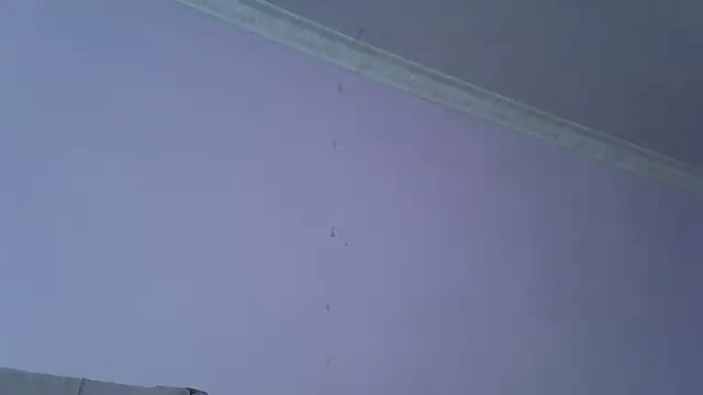 Snapshot of SweetMellowX1 chatting on September 12, 6:37 pm SweetMellowX1 online show from September 12, 6:37 pm