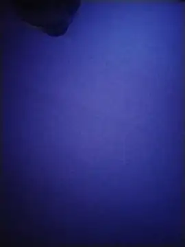 Donostipa online show from November 16, 5:09 am