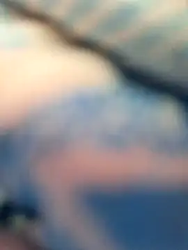 Priya Bong online show from November 25, 7:43 am