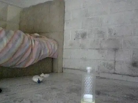 VanillaSeXy online show from September 20, 11:25 pm