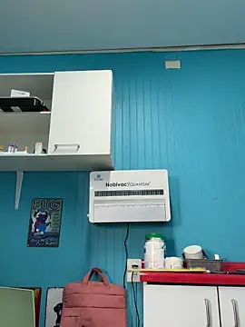 Reinacatchile online show from February 3, 7:51 pm