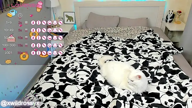 wildrossy online show from October 15, 6:27 am