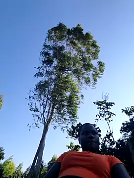 Snapshot of missarpie chatting on October 2, 1:49 pm missarpie online show from October 2, 1:49 pm