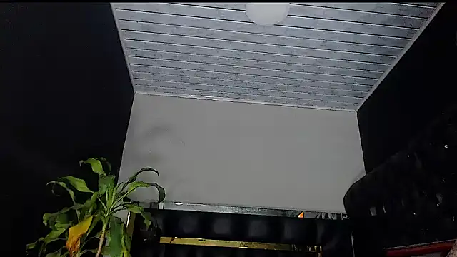 Kitie Petarda online show from October 19, 10:01 pm