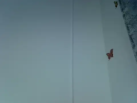 Snapshot of laetitia_ chatting on September 29, 10:48 pm laetitia online show from September 29, 10:48 pm