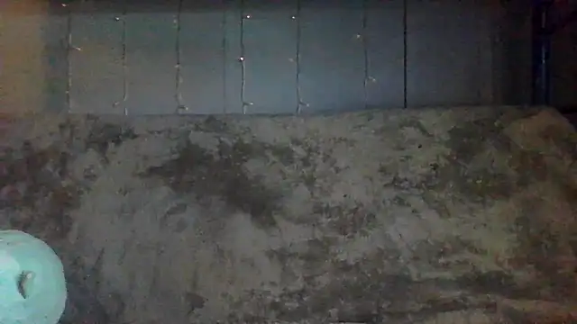 velvetta  online show from April 9, 6:24 pm