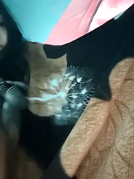 Asya angel online show from November 26, 12:22 am