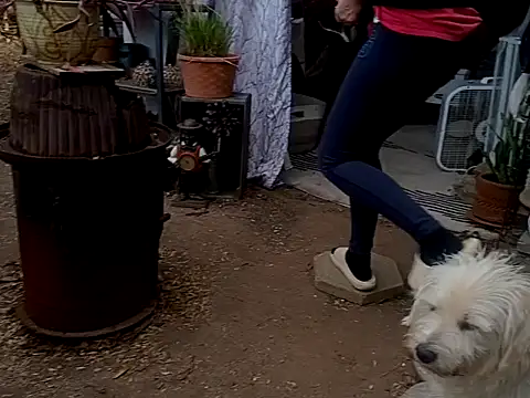 valleyoneofakind online show from November 12, 9:46 pm