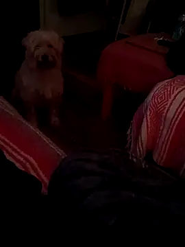 valleyoneofakind online show from September 27, 3:03 am