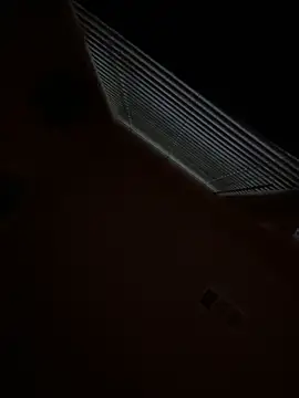 goldbuni online show from November 29, 12:53 pm