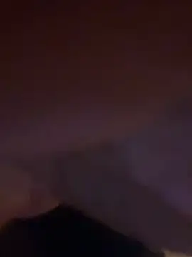 goldbuni online show from November 22, 12:30 pm