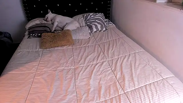 valerie luxe  online show from June 4, 5:34 am