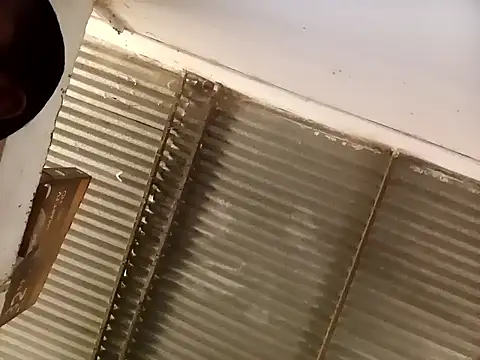 Snapshot of Andreita_95 chatting on October 13, 3:36 pm Andreita 95 online show from October 13, 3:36 pm