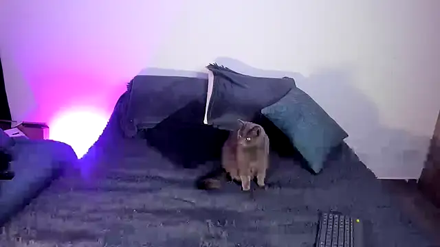 Dear-Venus online show from October 22, 6:46 pm