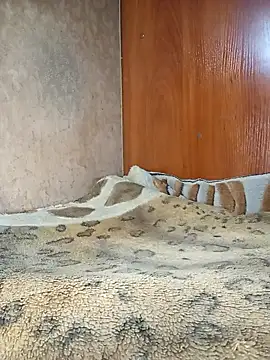 Holly Bette online show from February 8, 6:06 am