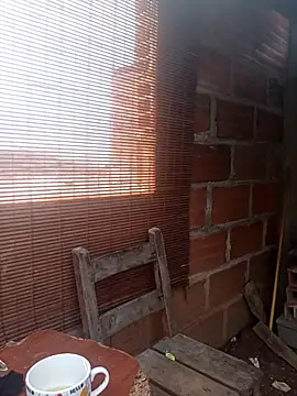 Alanagracia online show from November 7, 1:28 pm