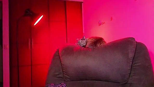 NEXT DOOR GIRL  online show from February 25, 11:47 pm