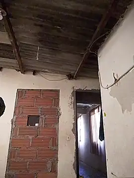 AlexaWarner online show from November 21, 9:17 pm