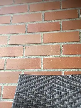 Snapshot of star_anastasia chatting on October 16, 11:46 am star anastasia online show from October 16, 11:46 am