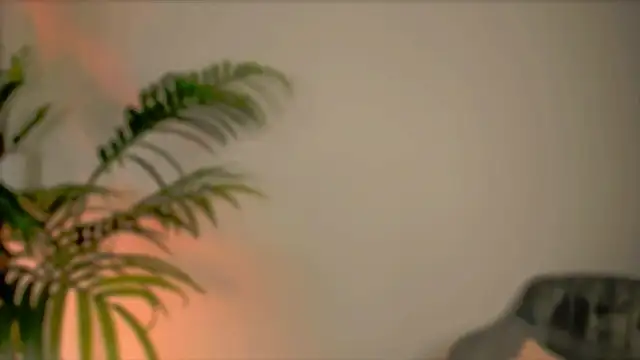 Snapshot of wildfllower chatting on October 13, 2:14 am wildfllower online show from October 13, 2:14 am