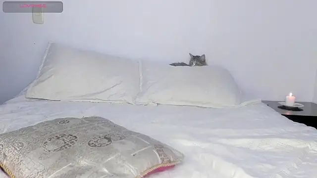 Snapshot of salome_lee chatting on October 26, 2:18 am salome lee online show from October 26, 2:18 am