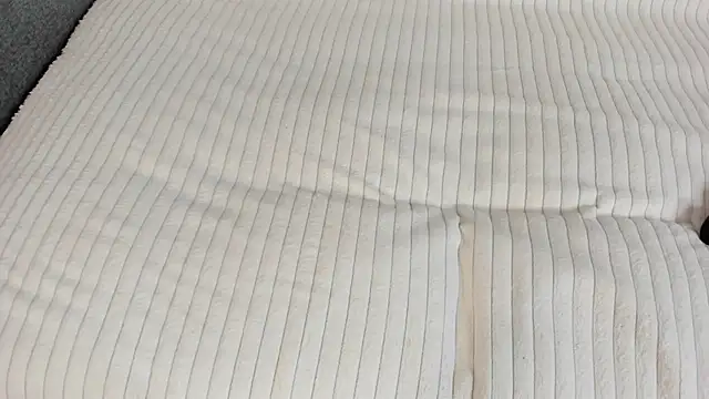 willow fox online show from October 7, 8:24 pm