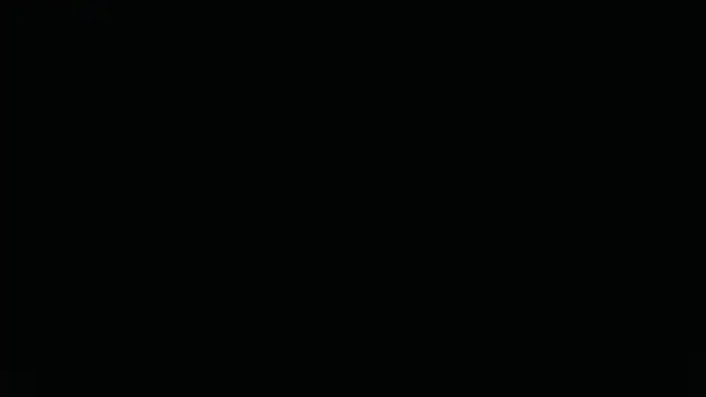 lakeeza online show from February 25, 5:17 am