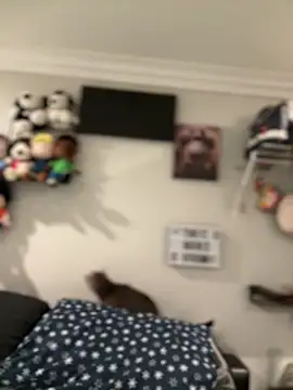 Snapshot of ThicBunz chatting on October 22, 12:15 am ThicBunz online show from October 22, 12:15 am