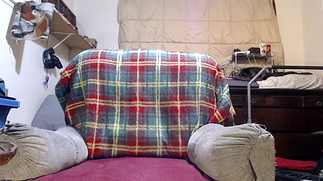 Snapshot of ladyscarlotta chatting on October 3, 2:38 am ladyscarlotta online show from October 3, 2:38 am