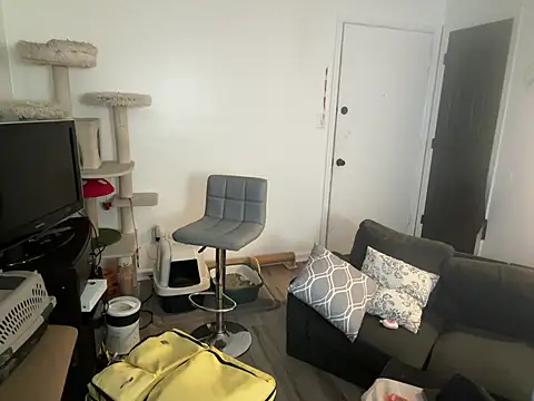 SpunCandy online show from June 8, 3:02 pm
