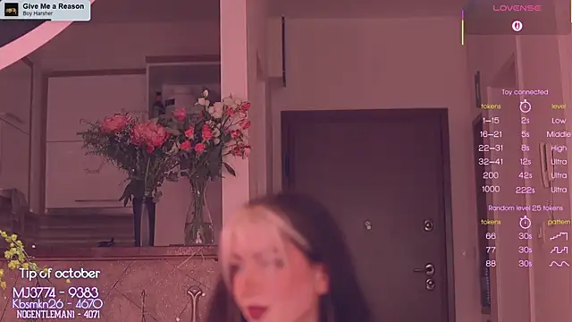 Virtual Wafu online show from November 2, 12:19 pm