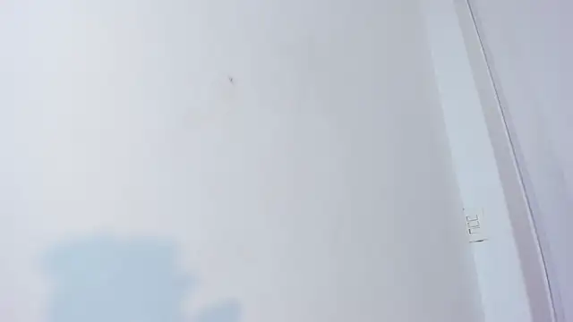  miaquevedo  online show from November 22, 2:31 pm