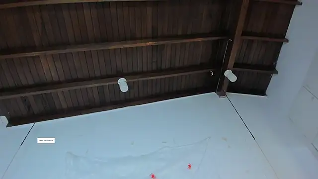 SandyyRose online show from November 1, 4:49 am