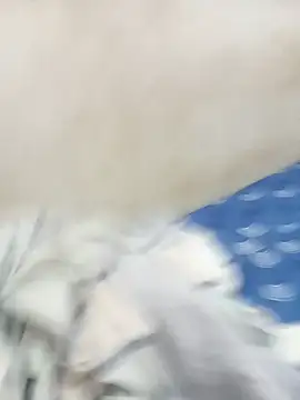 Snapshot of ambarlennoix chatting on September 28, 8:08 am ambarlennoix online show from September 28, 8:08 am