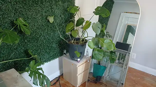 MistressKatie13xxx online show from February 9, 9:28 pm