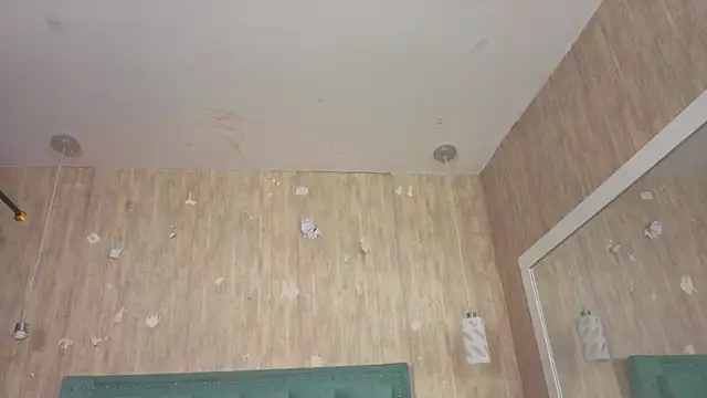 Alexa roussee online show from November 12, 2:04 pm