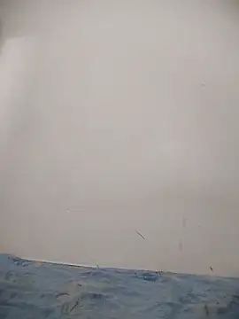 poojashine online show from October 22, 7:08 pm