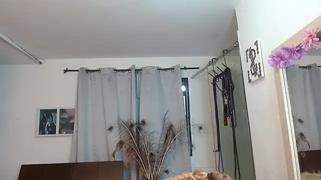 georgina ms online show from November 9, 5:53 pm