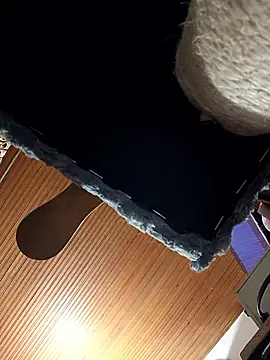 yajahil online show from March 6, 5:35 am