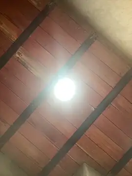 MollySanders    online show from December 13, 10:59 pm