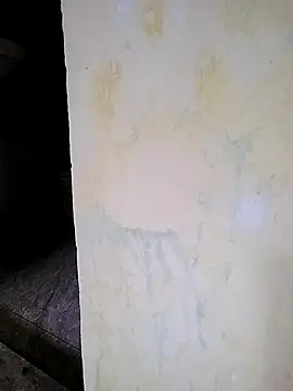 Snapshot of PayalSharmahot143 chatting on October 17, 1:53 am PayalSharmahot143 online show from October 17, 1:53 am