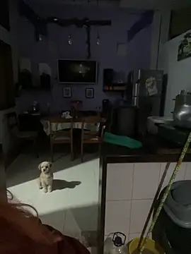 Snapshot of SophiaWeestt99 chatting on October 1, 1:43 am SophiaWeestt99 online show from October 1, 1:43 am