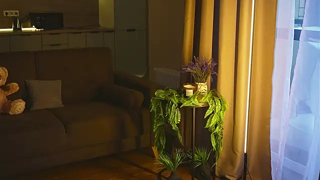 Snapshot of wowmolly chatting on November 1, 10:30 am wowmolly online show from November 1, 10:30 am