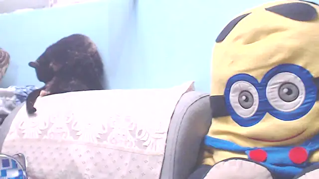 DirtyStefaniax online show from October 3, 6:13 pm