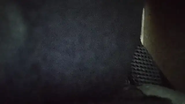 Snapshot of Indian-Festival chatting on September 26, 3:20 pm Indian-Festival online show from September 26, 3:20 pm