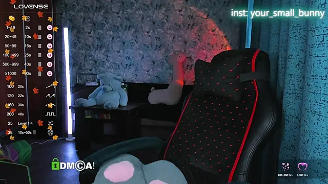 Your small bunny online show from November 11, 3:02 am