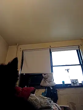 TickleMeKink online show from October 2, 12:10 pm